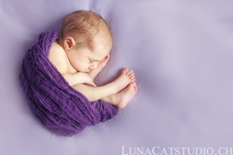 newborn photographer iris