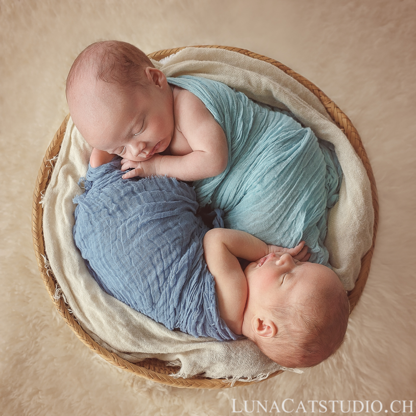 newborn photographer twins