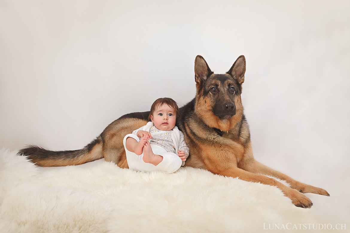 baby photographer with dog baby photographer with dog