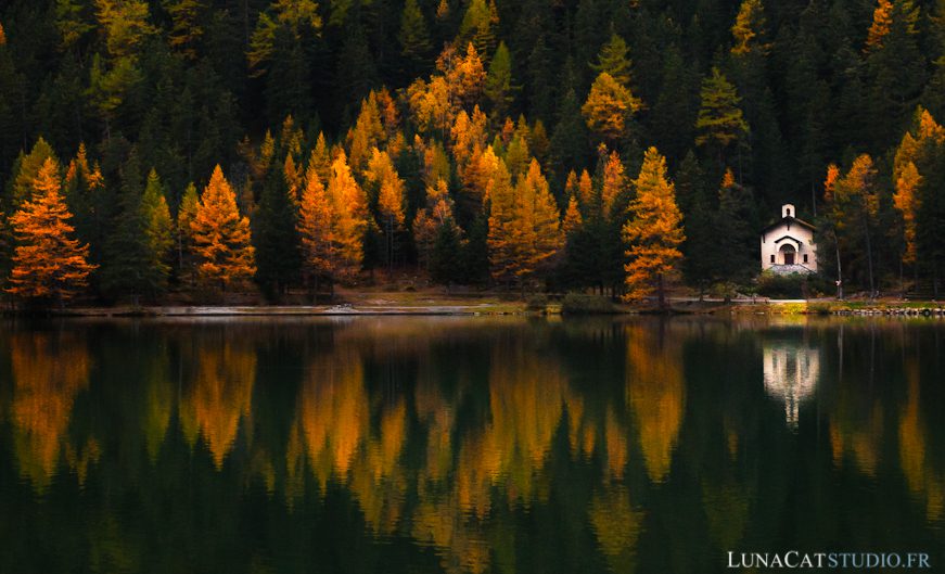 photographe nature automne
