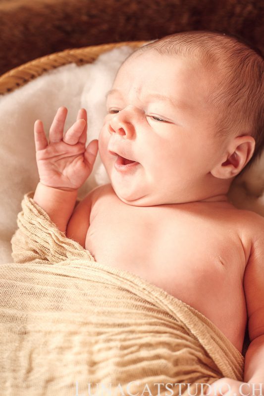 baby photographer Vevey