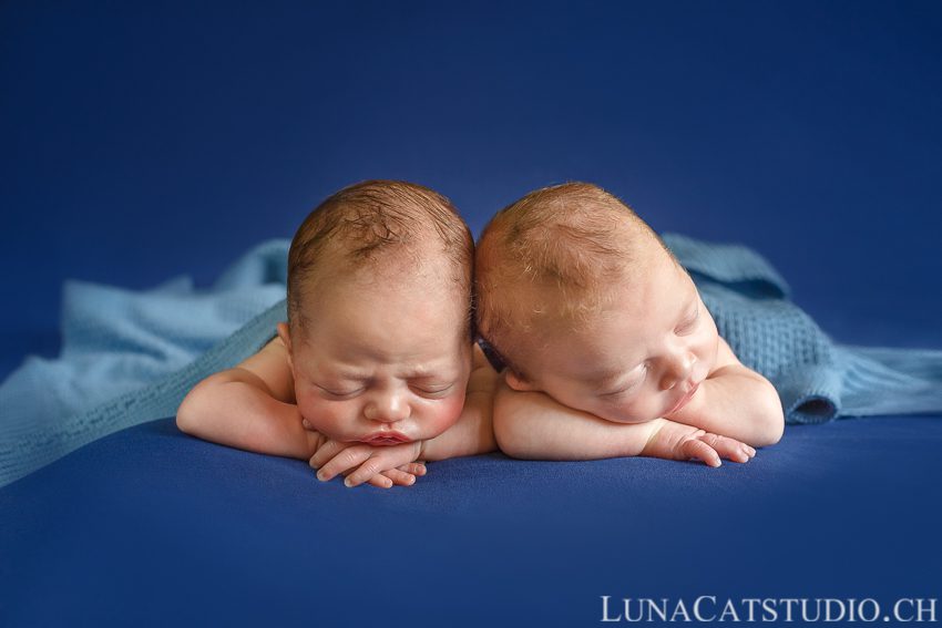 jumeaux bébés portrait