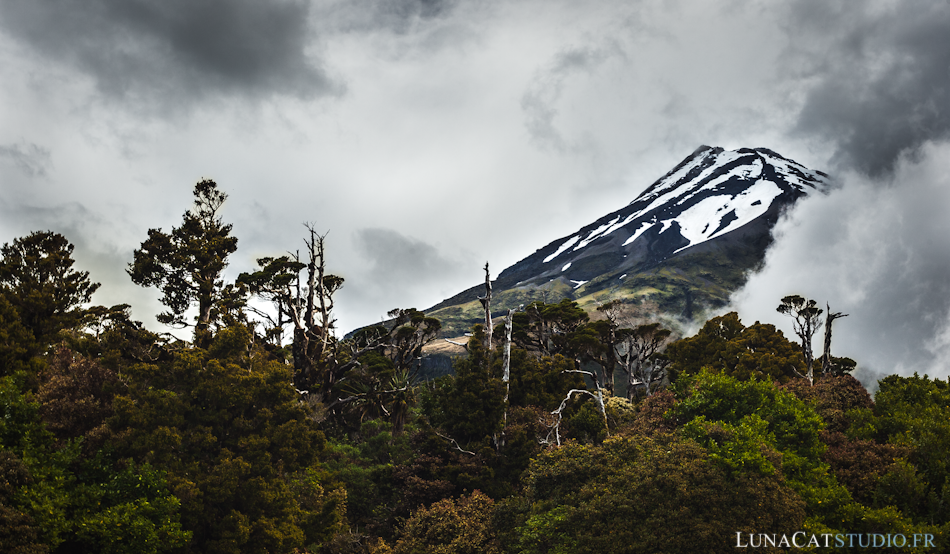 taranaki-2