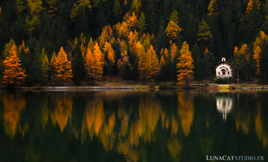 photographe nature automne