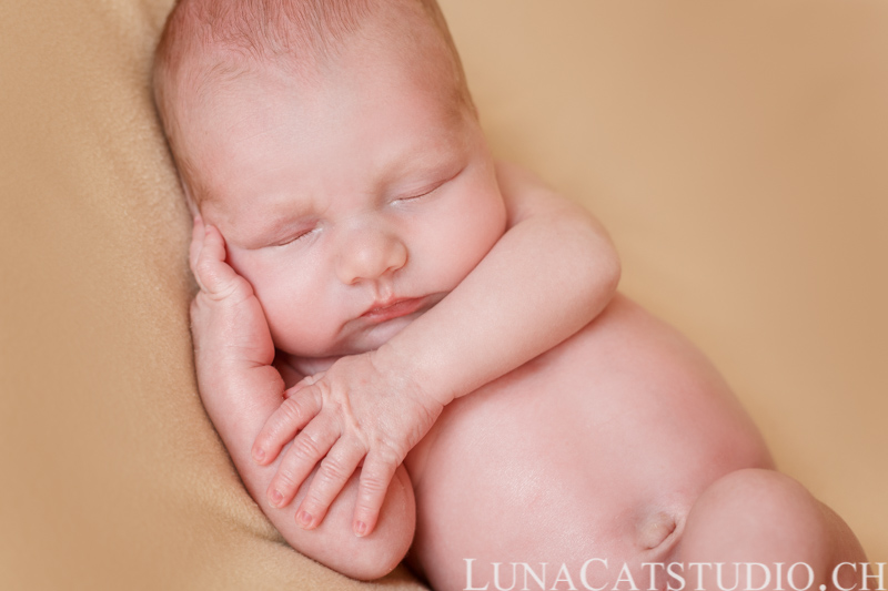 newborn photographer léonard