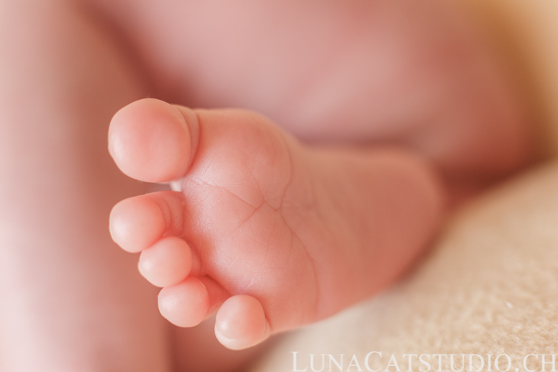 newborn photographer léonard