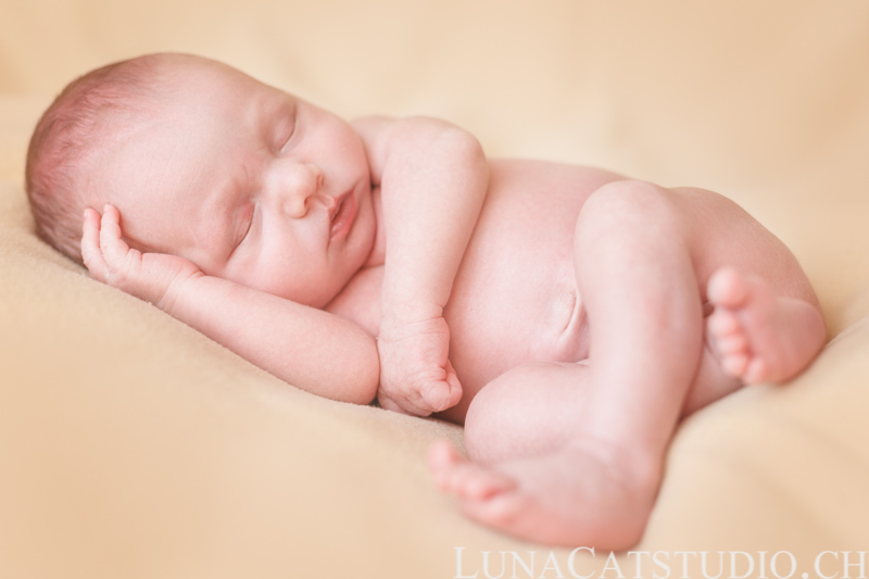 newborn photographer léonard