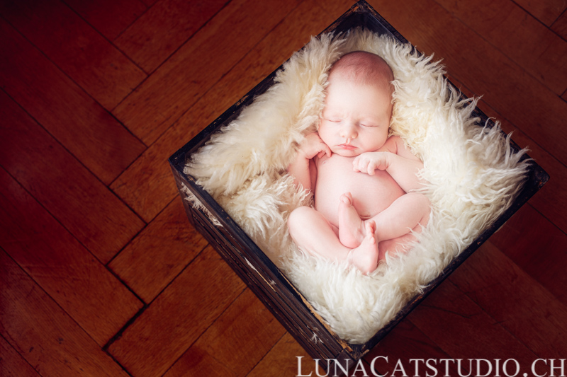 newborn photographer léonard