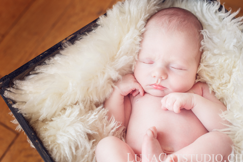 newborn photographer léonard