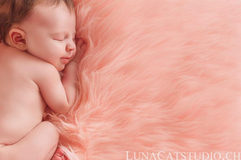 newborn photographer axelle