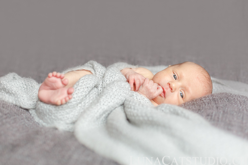 newborn photographer iris