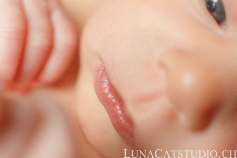 newborn photographer iris