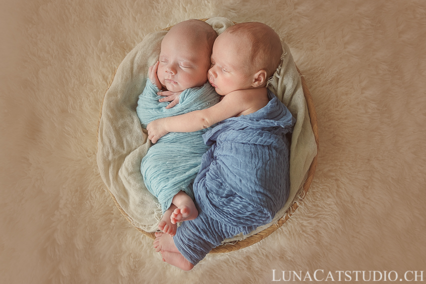 newborn photographer twins