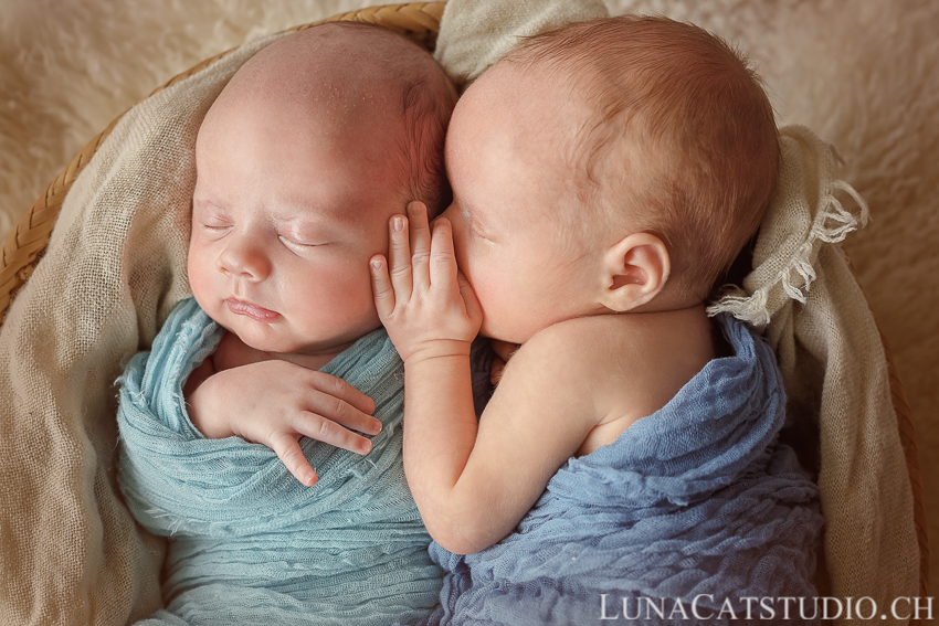 newborn photographer twins