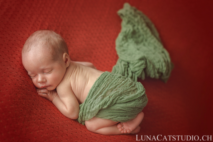 newborn photographer twins