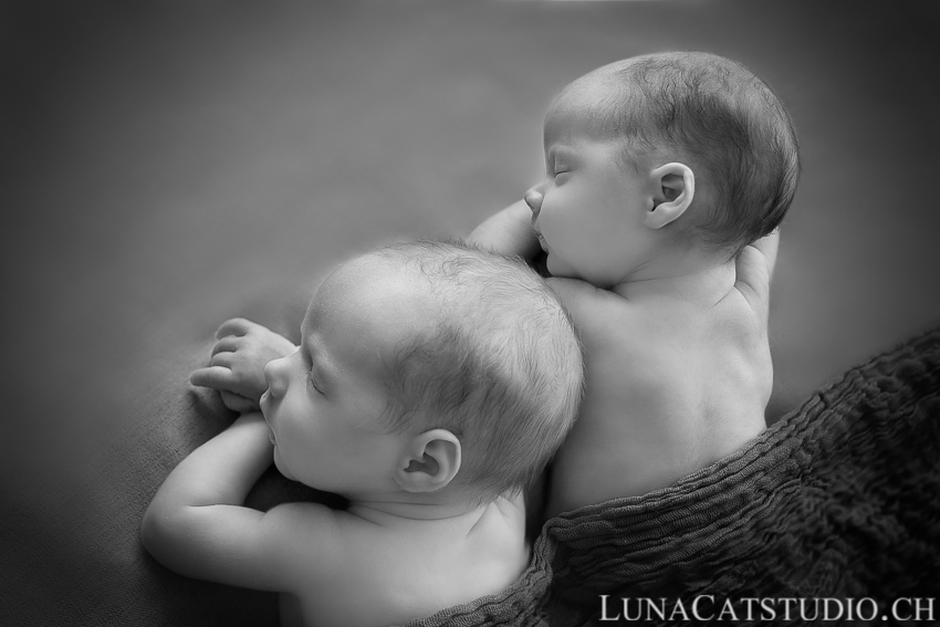 newborn photographer twins