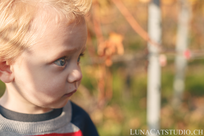 photographe famille lavaux