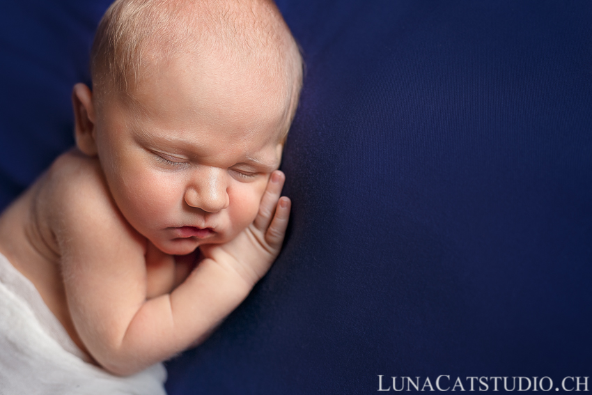 gland newborn photographer