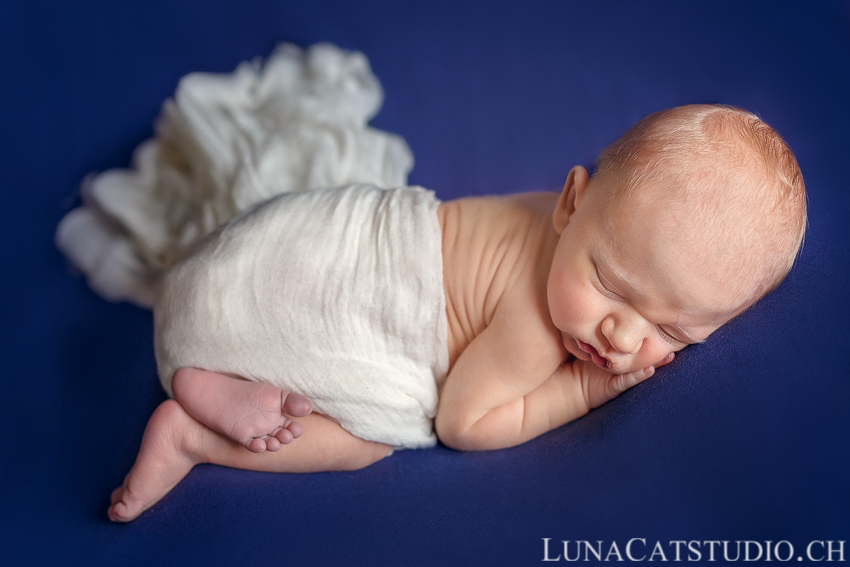 gland newborn photographer