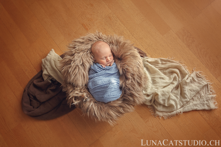 gland newborn photographer