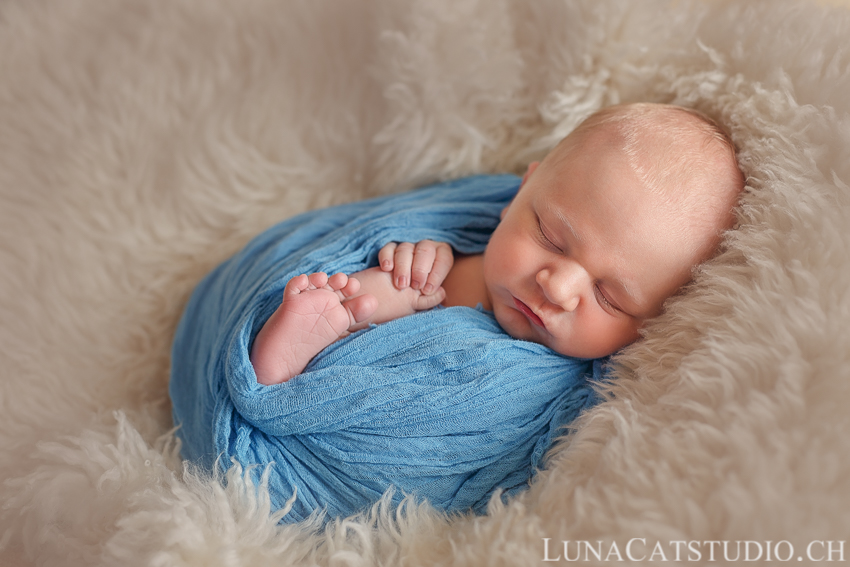 gland newborn photographer