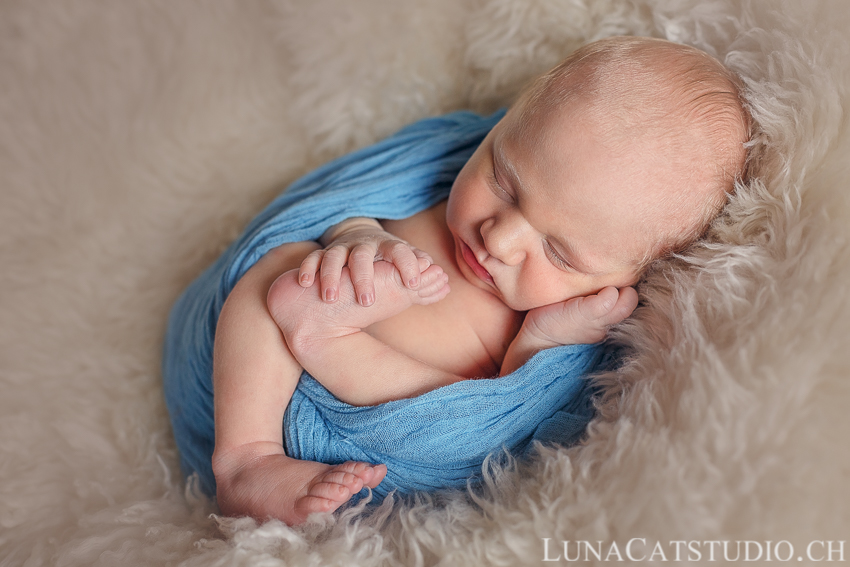 gland newborn photographer