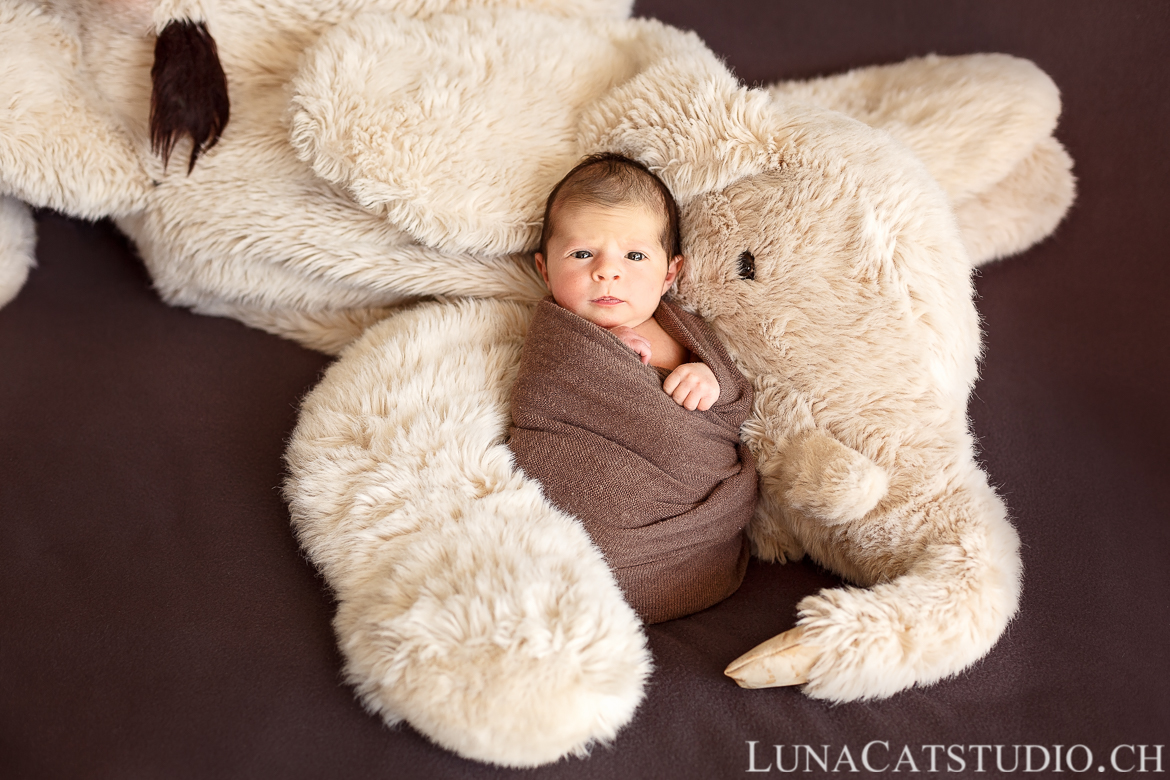 photographe naissance pontarlier bebe peluche