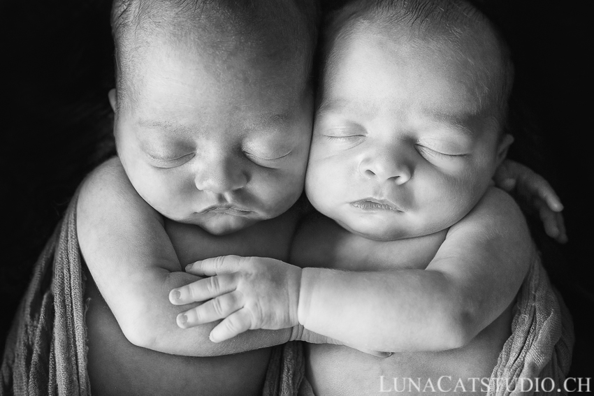jumeaux bébés noir blanc