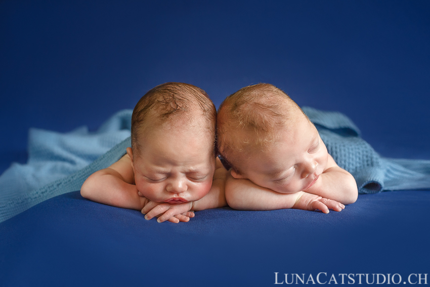 jumeaux bébés portrait