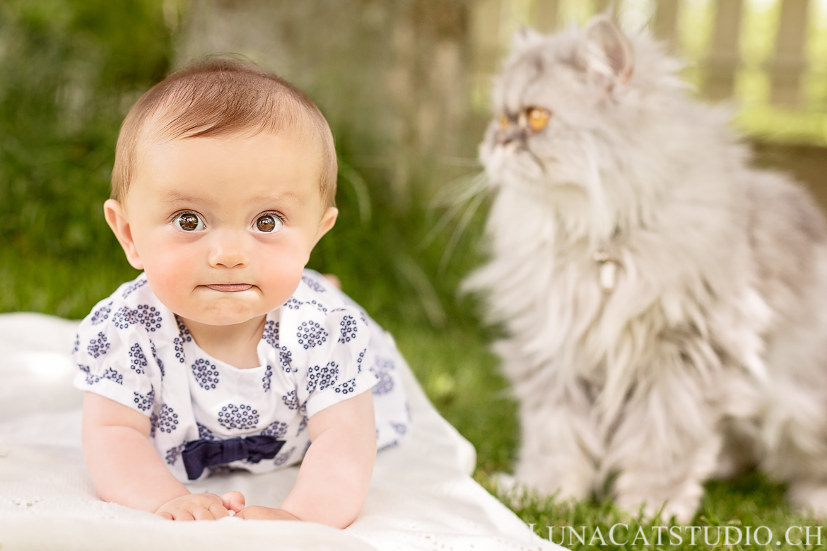 6 month baby photo cat on the tummy