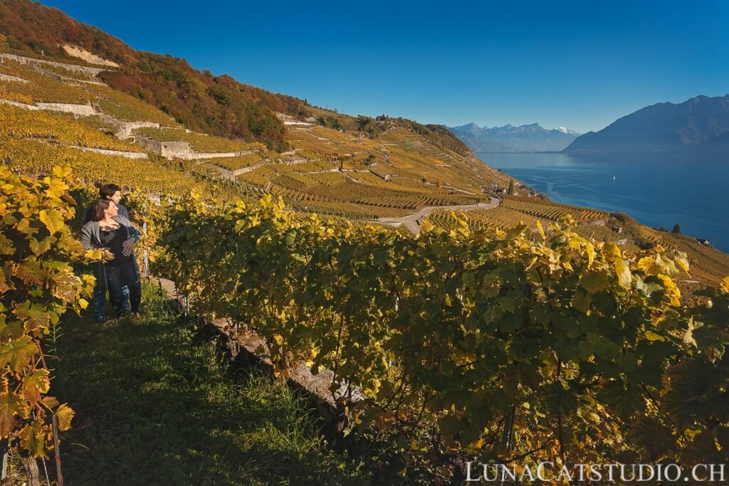 pregnancy photo session in Lavaux vineyards